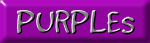 Purple african violets